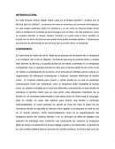 Ensayo Sobre la terapia familiar