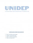 EJECICIO DE PRESUPUESTO DE COMPRAS