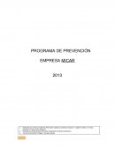 PROGRAMA DE PREVENCIÓN EMPRESA MICAR