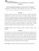 NIVEL DE CLOROFORMO EN EL AGUA POTABLE EN LA CUIDAD DE CAJAMARCA