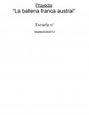 Proyecto: “La ballena franca austral”