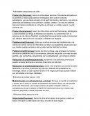 Apuntes Canvas Banco Chile