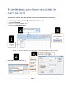 Procedimiento para hacer un análisis de datos en Excel