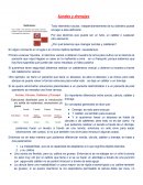 Sondas y Drenajes