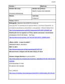 Economía internacional Evidencia