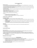 Resumen Certamen Estrategia