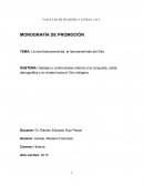TEMA: La otra Iberoamerindia, la Iberoamerindia del Otro