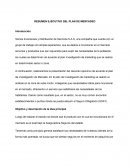 RESUMEN EJECUTIVO DEL PLAN DE MERCADEO