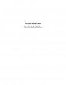 Encargo Herramientas Cuantitativas