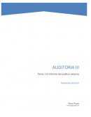 Cuestionario Informe de Auditoria