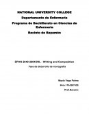 Monografia sobre la tecnologia en enfermeria