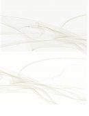 Ensayo Cambio Climatico Flores Costa Cuca, Quetgo