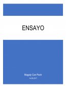 Ensayo cálculo integral