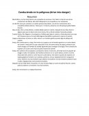 Conduciendo en lo peligroso - Resumen