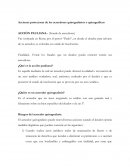 Acciones protectoras de los acreedores quirografarios o quirográficos