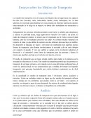 Ensayo sobre los Medios de Transporte