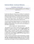 Sistema Motor: Cortezas Motoras Clase dictada por : Dr.Rómulo Fuentes