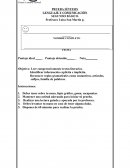 PRUEBA SINTESIS LENGUAJE