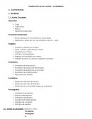 Cual es la Contablidad Cuentas clasificación basica