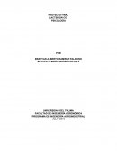 PROYECTO FINAL LACTSHION CO.