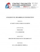 Analisis en el Desarrollo Cognositivo
