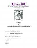 Organización y diseño de sistema contable