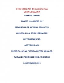 Experimentando de forma activa con la información recibida: alumno pragmático. Página 1