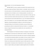 Murray Bookchim - Seis Tesis sobre Municipalismo Libertario