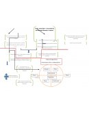 ¿Por qué es importante del coaching organizacional?