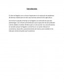 La gran Clasificacion de hortalizas por su adaptacion al clima