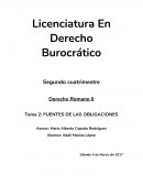 FUENTES DE LAS OBLIGACIONES