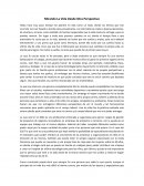 Como Mirando La Vida Desde Otra Perspectiva