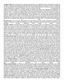 Longitud supina: Para esta medición se requieren dos individuos y un infantómetro preciso