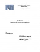 PRACTICA (REACCIONES DE LOS COMPUESTOS QUÍMICOS)