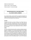 El nuevo Aparato Genital Femenino