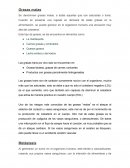 Metastasis Grasas malas