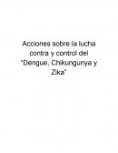 Las grandes Acciones sobre la lucha contra y control del “Dengue, Chikungunya y Zika”