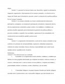 20 articulos de los consejos comunales