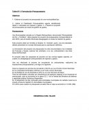 Elaborar el proyecto de presupuesto de una municipalidad tipo