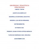 Experimentando de forma activa con la información recibida: alumno pragmático