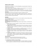 Problemas y principios arraigados en el tiempo. Contribuye a la institucionalización de las actitudes administrativas