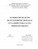 ELABORACIÓN DE QUESO BLANCO SEMIDURO ARTESANAL EN LA PRODUCTORA LÁCTEA “HERMANOS MOLINA”