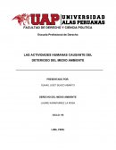 LAS ACTIVIDADES HUMANAS CAUSANTE DEL DETERIODO DEL MEDIO AMBIENTE