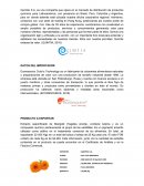 TRABAJO FINAL GCI OFICIAL