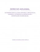DETERMINACION DE LA BASE GRAVABLE E IMPUESTOS AL COMERCIO EXTERIOR EN LA IMPORTACION Y EXPORTACION DE MERCANCIAS