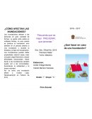 Cómo afectan las inundaciones?