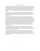 Alúmina Anódica Porosa