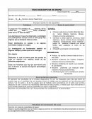 EJEMPLO DE FICHA DESCRIPTIVA️ POR GRUPO