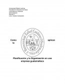 Como aplican la Planificación y la Organización en una empresa guatemalteca