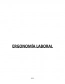 ERGONOMÍA LABORAL. Factores biomecánicos: incluyen repetitividad, fuerza y postura